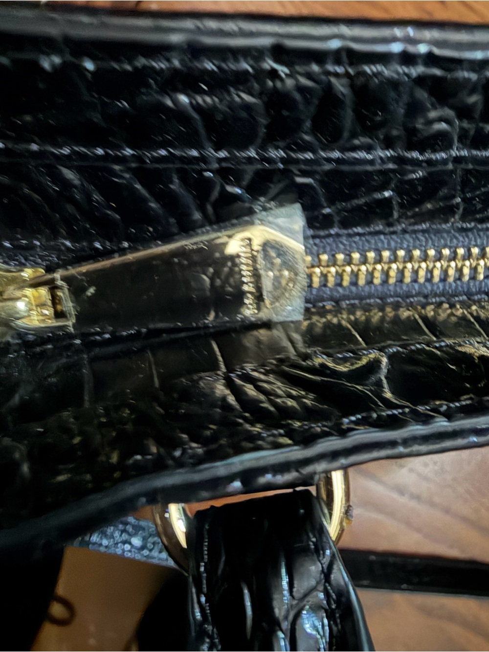 Brahmin - Picture 8 of 9